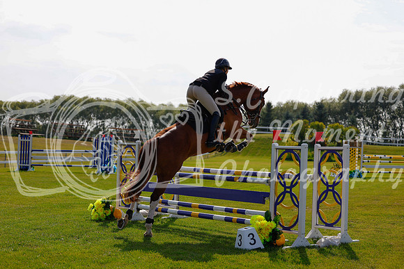 2025 - Haylee - Harvest Horse Show - Friday, September 12th 07401