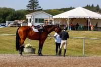 2025 - Haylee - Harvest Horse Show - Friday, September 12th 07678