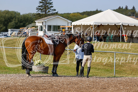 2025 - Haylee - Harvest Horse Show - Friday, September 12th 07678