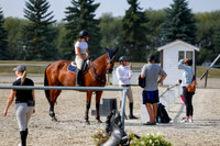 2025 - Haylee - Harvest Horse Show - Friday, September 12th 07681