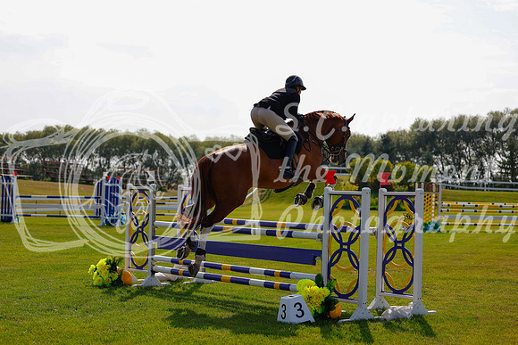2025 - Haylee - Harvest Horse Show - Friday, September 12th 07405