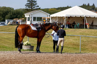 2025 - Haylee - Harvest Horse Show - Friday, September 12th 07679