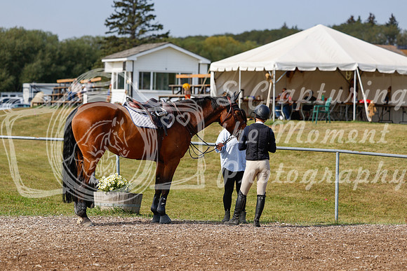 2025 - Haylee - Harvest Horse Show - Friday, September 12th 07679