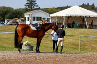 2025 - Haylee - Harvest Horse Show - Friday, September 12th 07680