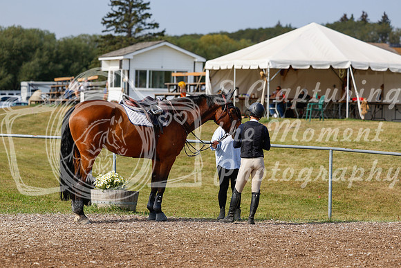 2025 - Haylee - Harvest Horse Show - Friday, September 12th 07680
