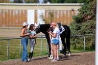 2025 - Haylee - Harvest Horse Show - Friday, September 12th 07685