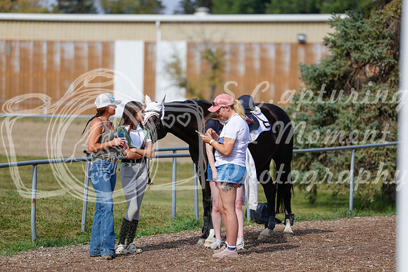 2025 - Haylee - Harvest Horse Show - Friday, September 12th 07685