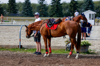 2025 - Haylee - Harvest Horse Show - Friday, September 12th 07687