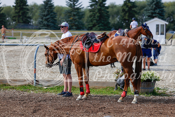 2025 - Haylee - Harvest Horse Show - Friday, September 12th 07687