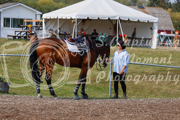 2025 - Haylee - Harvest Horse Show - Friday, September 12th 07691