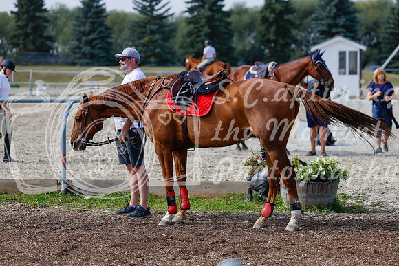 2025 - Haylee - Harvest Horse Show - Friday, September 12th 07689