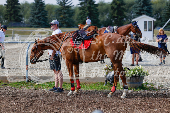 2025 - Haylee - Harvest Horse Show - Friday, September 12th 07690