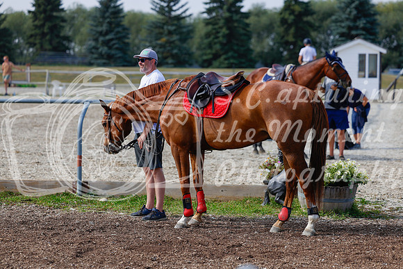 2025 - Haylee - Harvest Horse Show - Friday, September 12th 07688