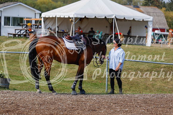 2025 - Haylee - Harvest Horse Show - Friday, September 12th 07692