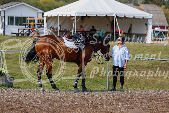 2025 - Haylee - Harvest Horse Show - Friday, September 12th 07694