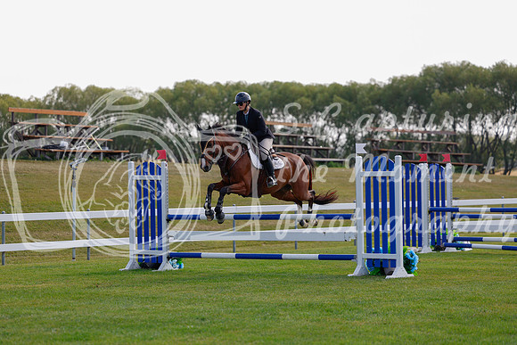 2025 - Haylee - Harvest Horse Show - Friday, September 12th 07803