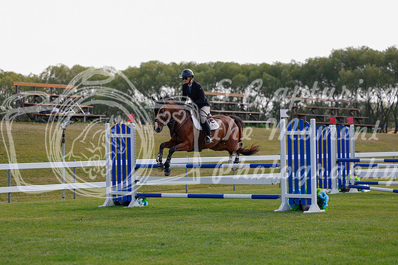 2025 - Haylee - Harvest Horse Show - Friday, September 12th 07804