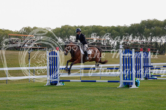 2025 - Haylee - Harvest Horse Show - Friday, September 12th 07805