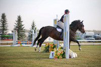 2025 - Karlee - Harvest Horse Show - Friday, September 12th 01967