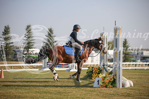 2025 - Karlee - Harvest Horse Show - Friday, September 12th 03298
