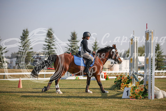 2025 - Karlee - Harvest Horse Show - Friday, September 12th 03296