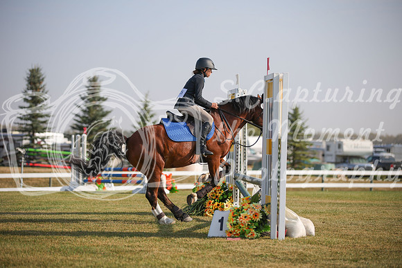 2025 - Karlee - Harvest Horse Show - Friday, September 12th 03300