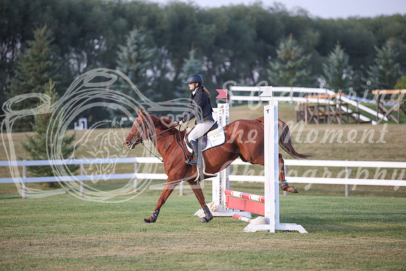 2025 - Karlee - Harvest Horse Show - Friday, September 12th 01815