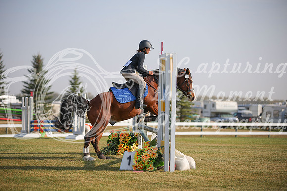2025 - Karlee - Harvest Horse Show - Friday, September 12th 03302