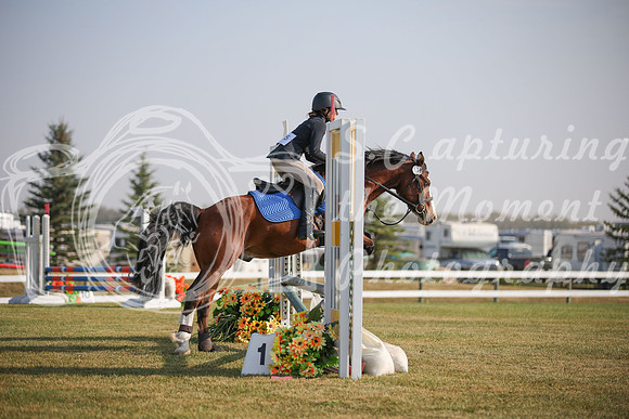 2025 - Karlee - Harvest Horse Show - Friday, September 12th 03303