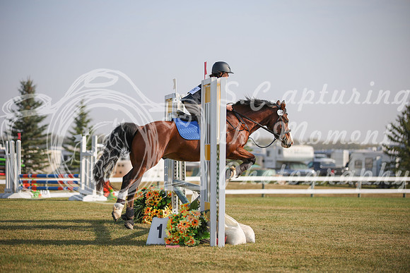 2025 - Karlee - Harvest Horse Show - Friday, September 12th 03304