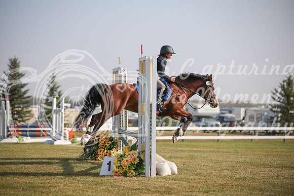 2025 - Karlee - Harvest Horse Show - Friday, September 12th 03305