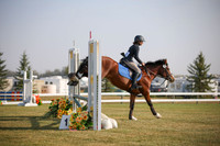 2025 - Karlee - Harvest Horse Show - Friday, September 12th 03308
