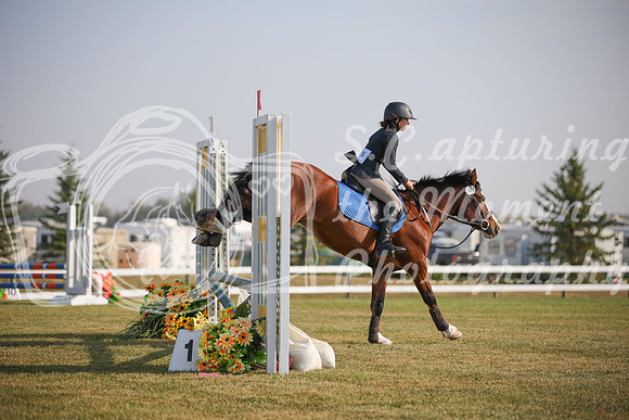 2025 - Karlee - Harvest Horse Show - Friday, September 12th 03308