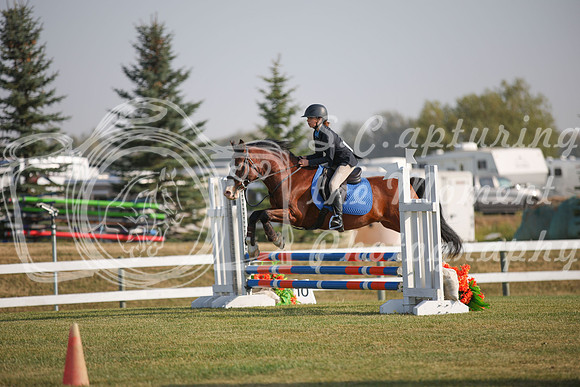 2025 - Karlee - Harvest Horse Show - Friday, September 12th 03370