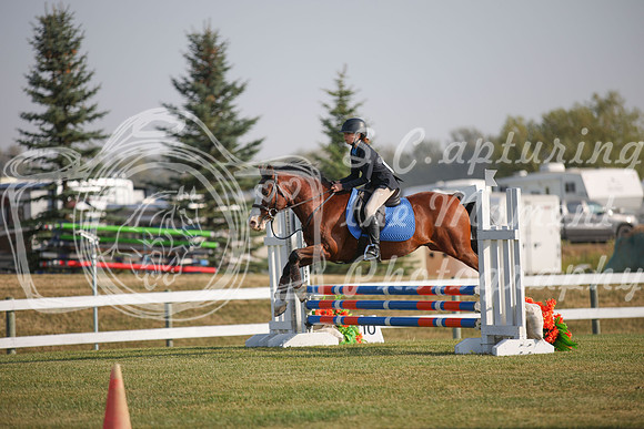 2025 - Karlee - Harvest Horse Show - Friday, September 12th 03371