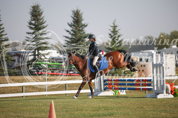2025 - Karlee - Harvest Horse Show - Friday, September 12th 03374