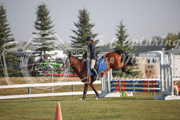 2025 - Karlee - Harvest Horse Show - Friday, September 12th 03375