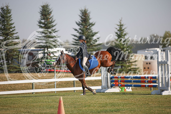 2025 - Karlee - Harvest Horse Show - Friday, September 12th 03376