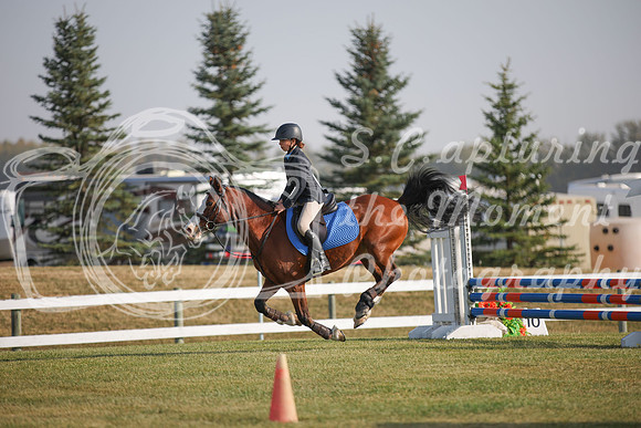 2025 - Karlee - Harvest Horse Show - Friday, September 12th 03378