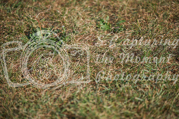 2025 - Karlee - Harvest Horse Show - Friday, September 12th 03379