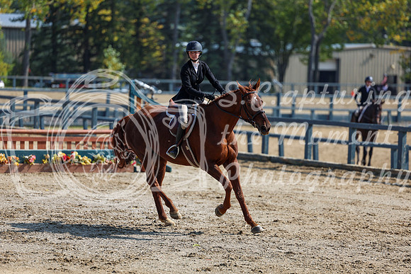 2025 - Shea - Fall Finale - Friday September 12th - 07213