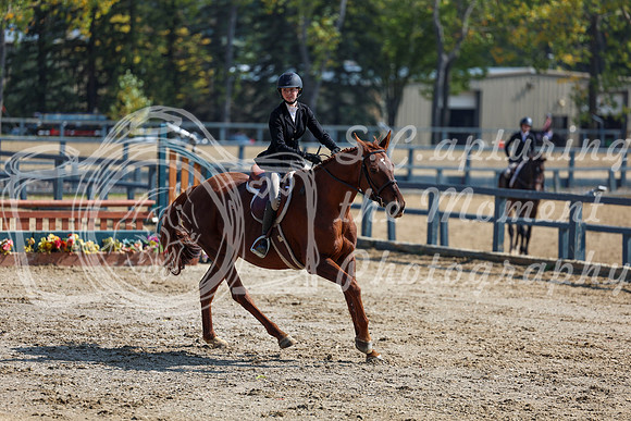 2025 - Shea - Fall Finale - Friday September 12th - 07215