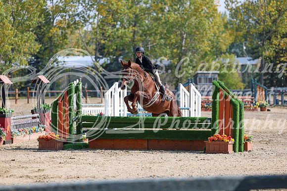 2025 - Shea - Fall Finale - Friday September 12th - 07240