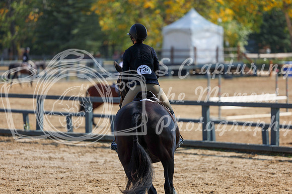 2025 - Shea - Fall Finale - Friday September 12th - 07410