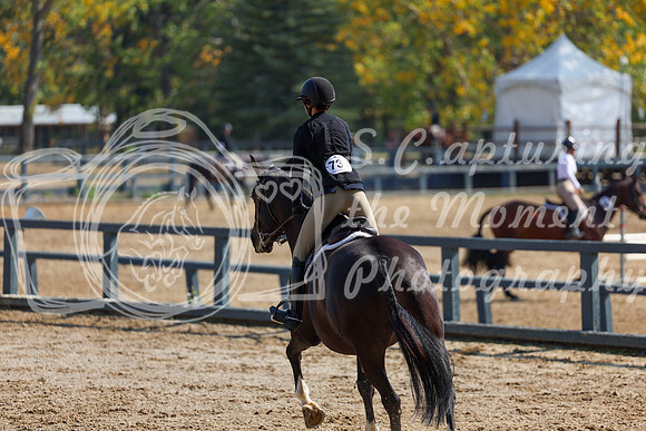 2025 - Shea - Fall Finale - Friday September 12th - 07411