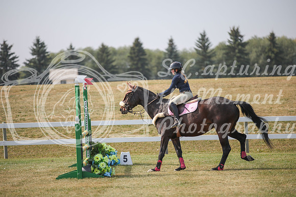 2025 - Karlee - Harvest Horse Show - Friday, September 12th 10247