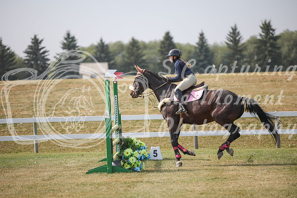 2025 - Karlee - Harvest Horse Show - Friday, September 12th 10249