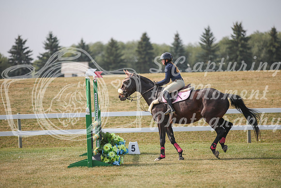 2025 - Karlee - Harvest Horse Show - Friday, September 12th 10248