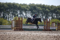 2025 - Karlee - Harvest Horse Show - Friday, September 12th 10952