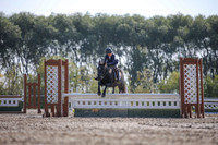 2025 - Karlee - Harvest Horse Show - Friday, September 12th 10958